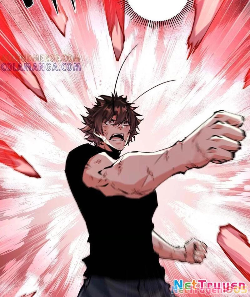 Mạt Thế Cẩu Sinh: Gián Giúp Ta Chồng Buff Chapter 73 - 71