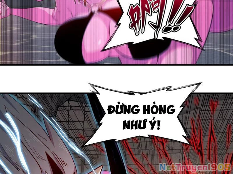 Xuyên Không Thành Ma Tôn Pháo Hôi? Nhưng Ta Là Streamer Công Lược Chapter 13 - 40