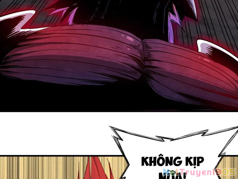 Xuyên Không Thành Ma Tôn Pháo Hôi? Nhưng Ta Là Streamer Công Lược Chapter 13 - 67