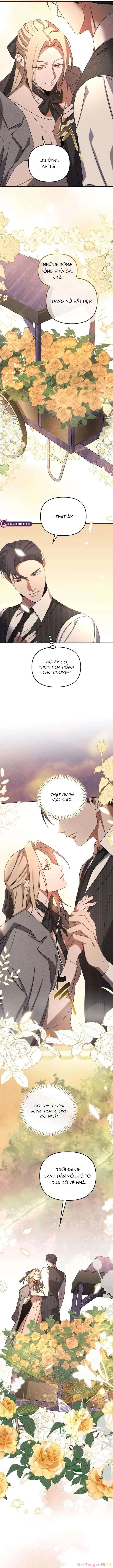 Nơi Đóa Hồng Vàng Úa Tàn Chapter 8 - 13