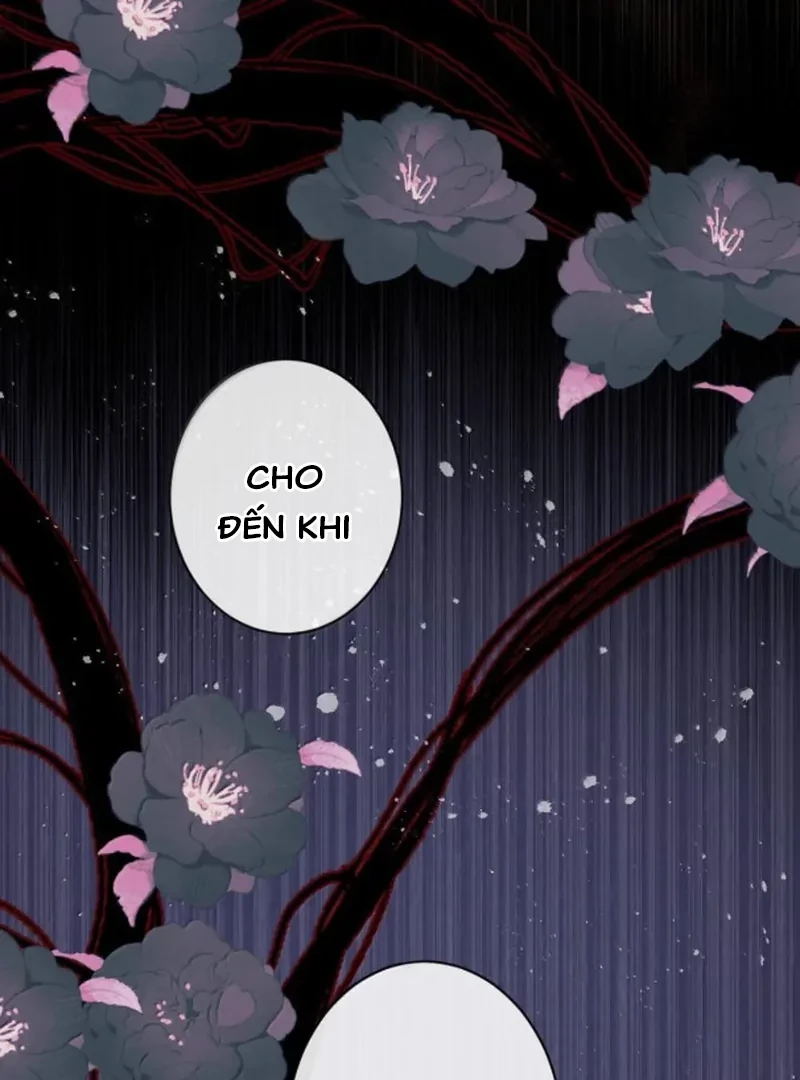Nuông Chiều Mỹ Nhân Cuồng Nhiệt Chapter 81 - 11