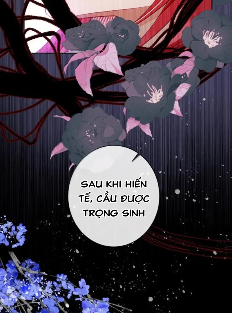 Nuông Chiều Mỹ Nhân Cuồng Nhiệt Chapter 81 - 13