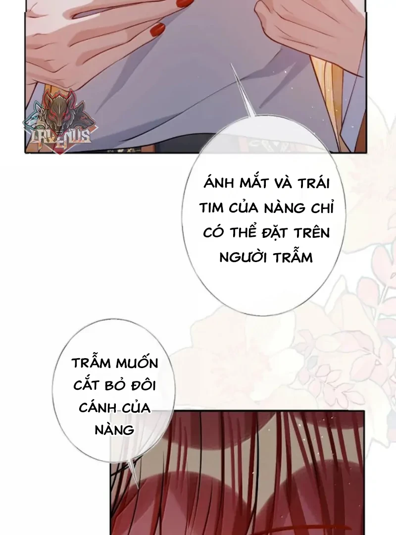 Nuông Chiều Mỹ Nhân Cuồng Nhiệt Chapter 81 - 54