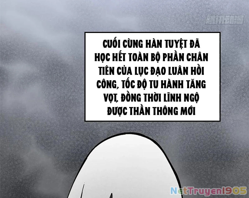 Đỉnh Cấp Khí Vận, Lặng Lẽ Tu Luyện Ngàn Năm Chapter 233 - 51