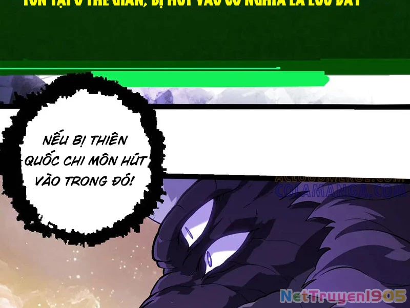 Chuyển Sinh Thành Liễu Đột Biến Chapter 430 - 26