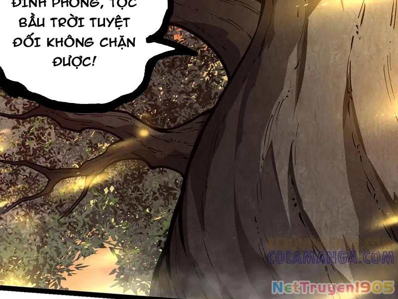 Chuyển Sinh Thành Liễu Đột Biến Chapter 430 - 34