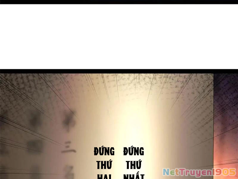 Chàng Rể Mạnh Nhất Lịch Sử Chapter 333 - 28