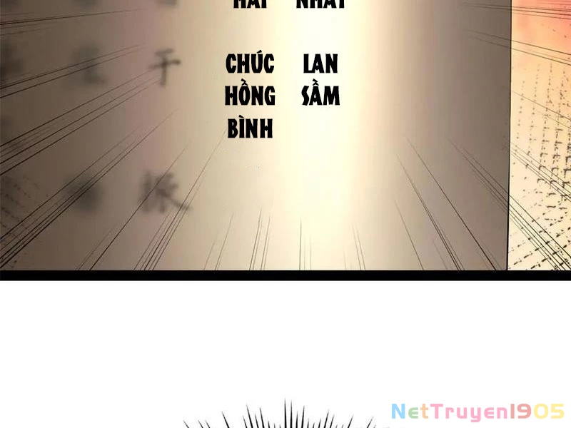 Chàng Rể Mạnh Nhất Lịch Sử Chapter 333 - 29