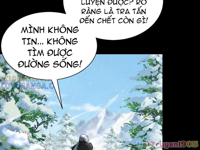 Gặp Mạnh Thì Mạnh, Ta Tu Vi Vô Thượng Hạn Chapter 77 - 13