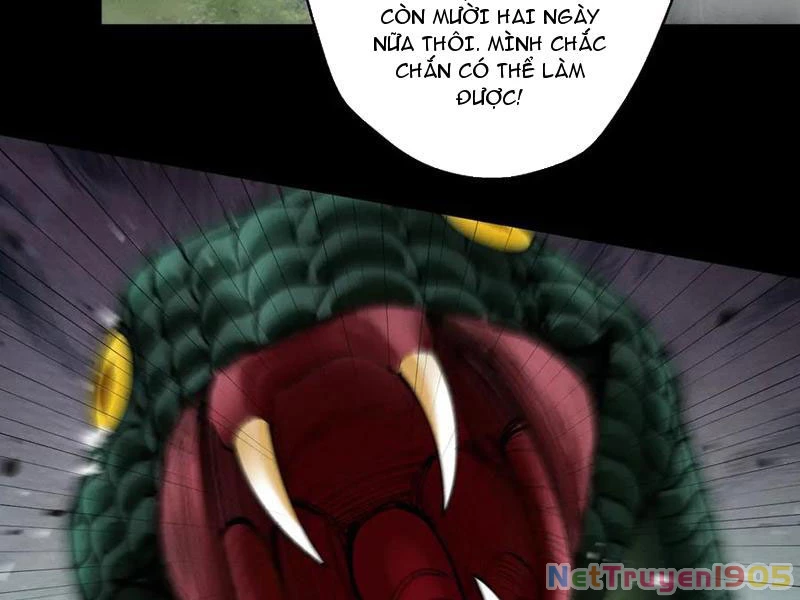 Gặp Mạnh Thì Mạnh, Ta Tu Vi Vô Thượng Hạn Chapter 77 - 24