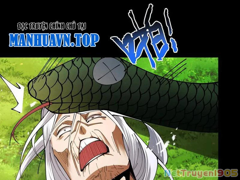 Gặp Mạnh Thì Mạnh, Ta Tu Vi Vô Thượng Hạn Chapter 77 - 31