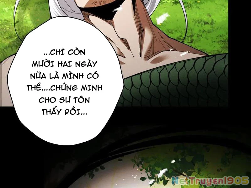 Gặp Mạnh Thì Mạnh, Ta Tu Vi Vô Thượng Hạn Chapter 77 - 32
