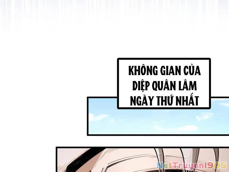 Gặp Mạnh Thì Mạnh, Ta Tu Vi Vô Thượng Hạn Chapter 77 - 56