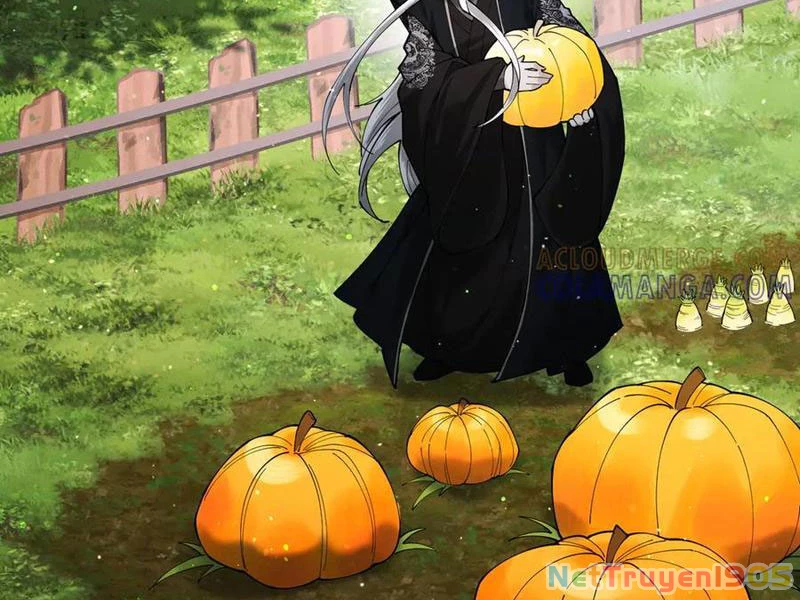 Gặp Mạnh Thì Mạnh, Ta Tu Vi Vô Thượng Hạn Chapter 77 - 93