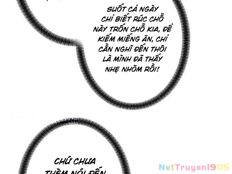Gặp Mạnh Thì Mạnh, Ta Tu Vi Vô Thượng Hạn Chapter 77 - 120
