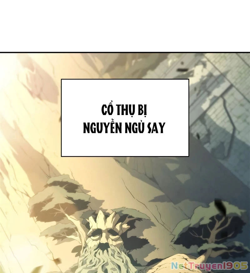 Người Chơi Mới Cấp Tối Đa Chapter 224 - 67