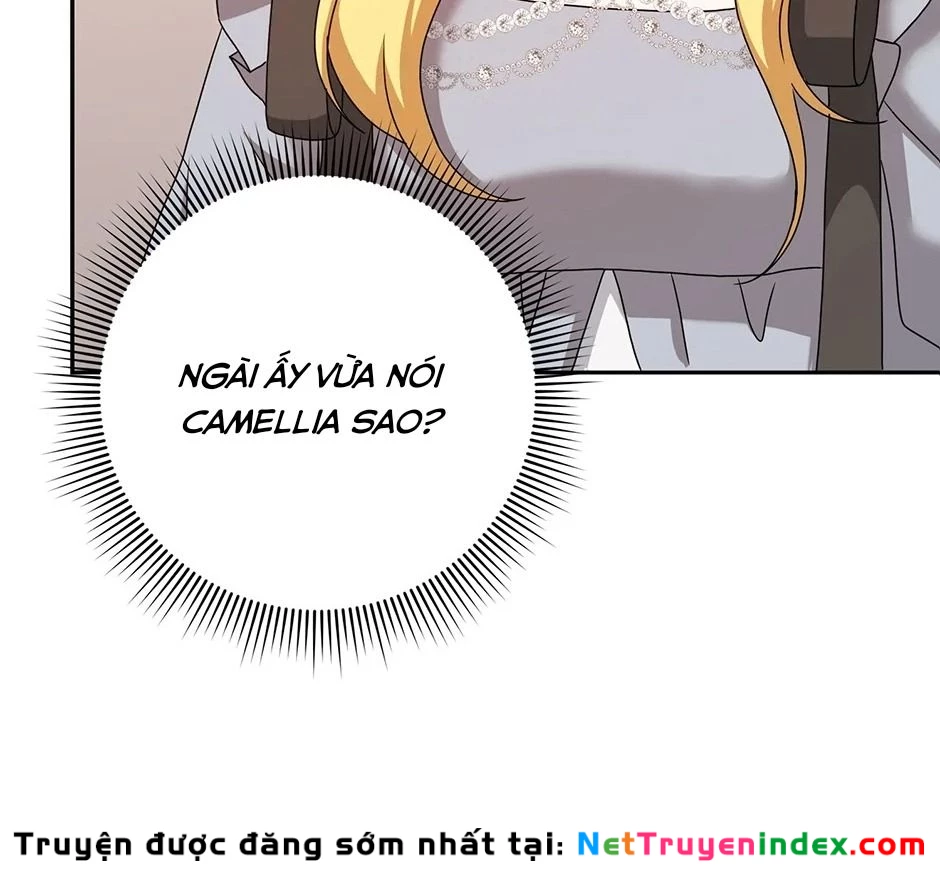 Lọ Lem Đã Mất Tích Chapter 41 - 52