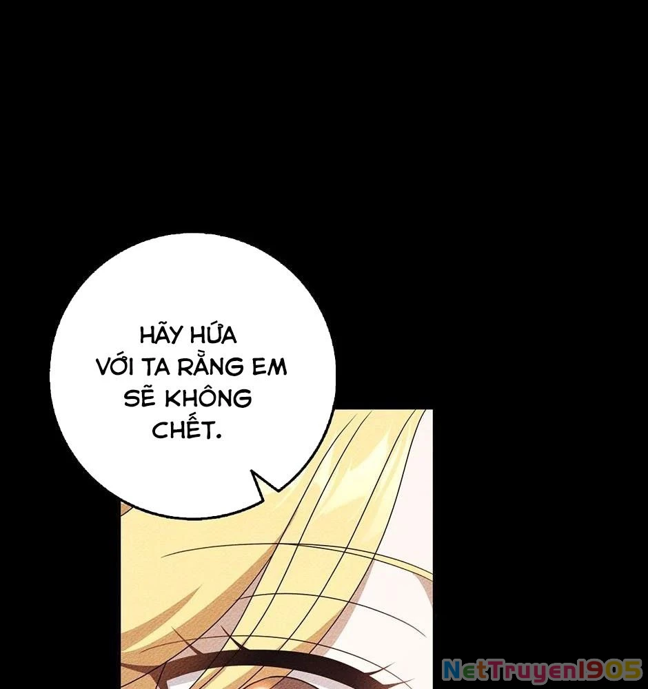 Lọ Lem Đã Mất Tích Chapter 52 - 72