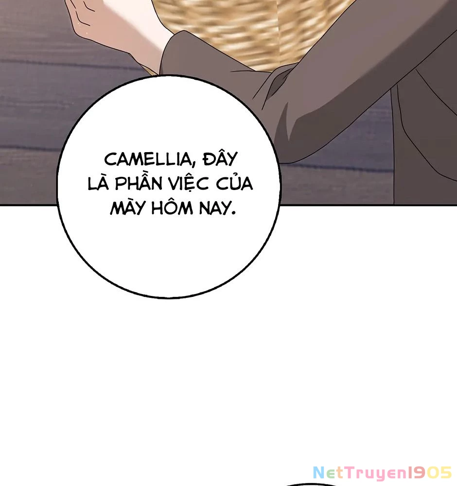 Lọ Lem Đã Mất Tích Chapter 56 - 4