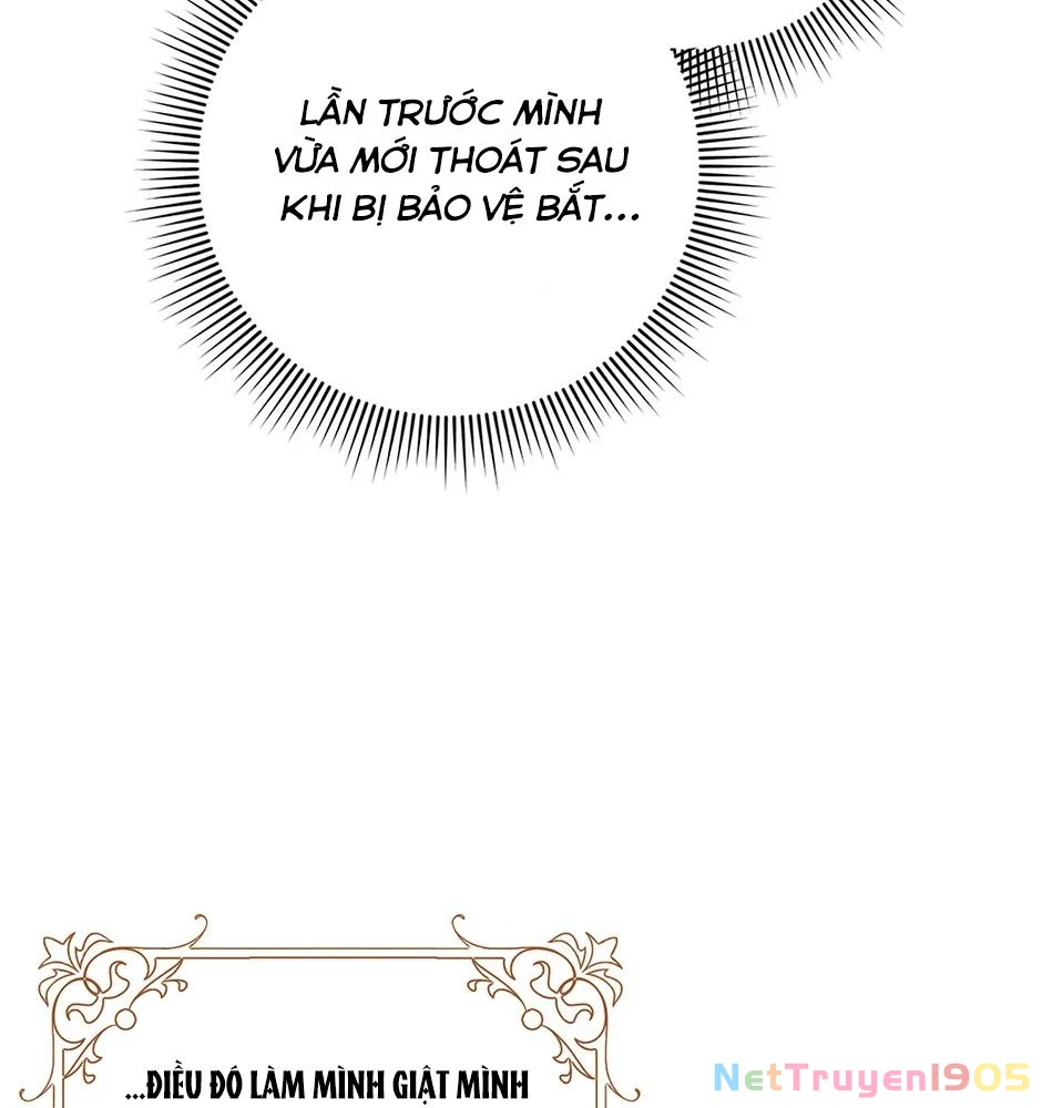 Lọ Lem Đã Mất Tích Chapter 56 - 11