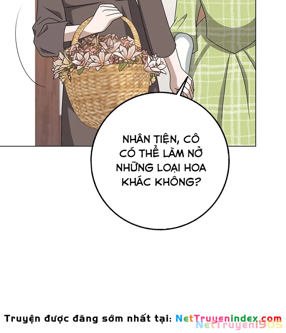 Lọ Lem Đã Mất Tích Chapter 56 - 101