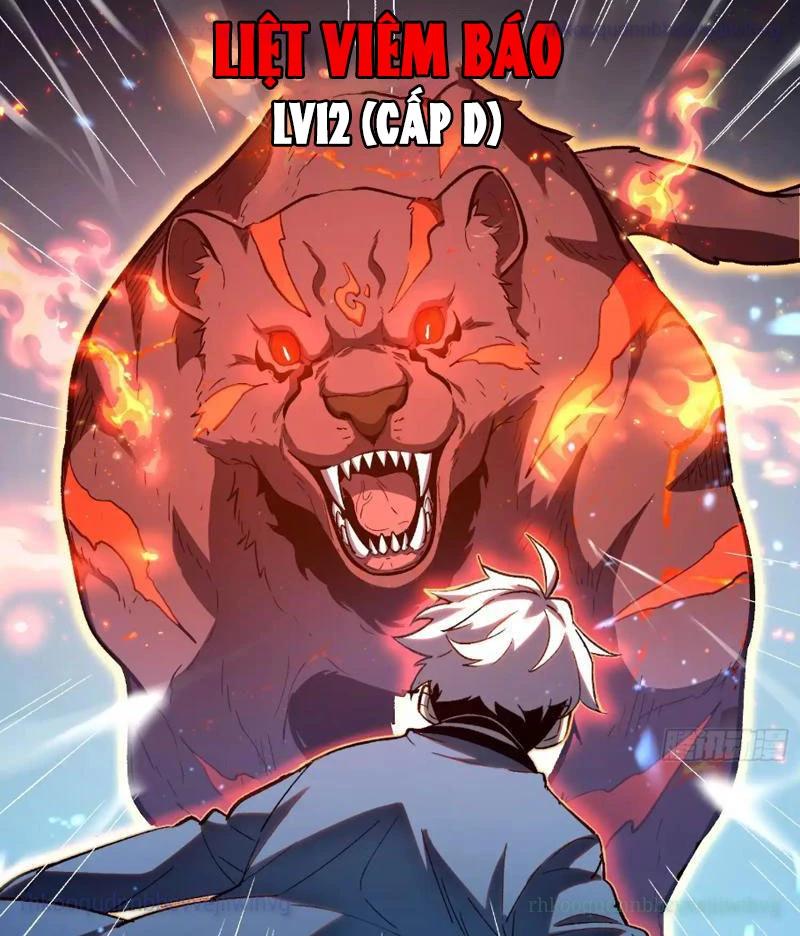 Thức Tỉnh Toàn Chức Chapter 24 - 33
