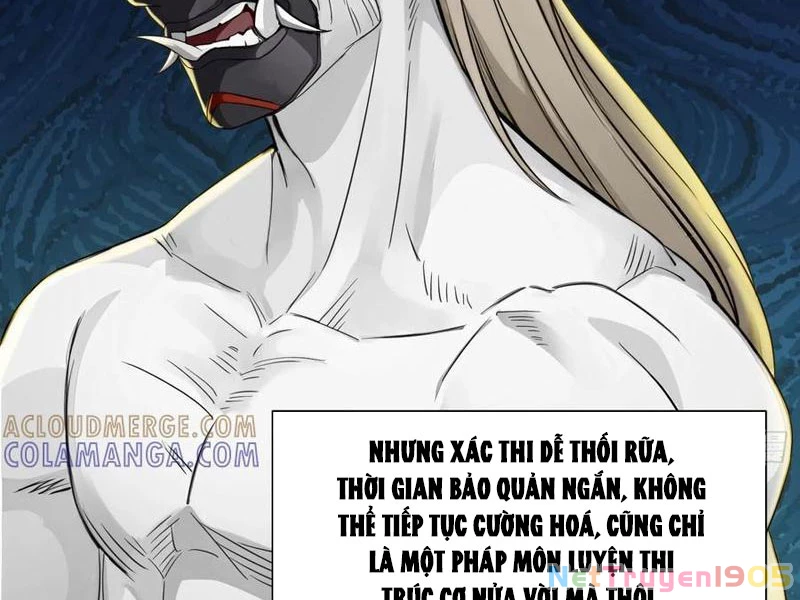 Chuyển Sinh Thành Tra Nam, Ta Giúp Thê Tử Trường Sinh Chapter 42 - 28