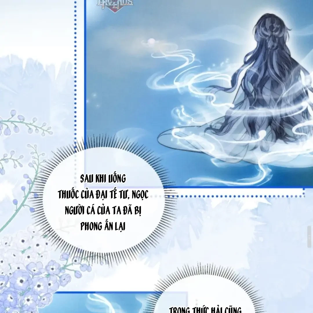 Nhập Hải Chapter 10 - 13