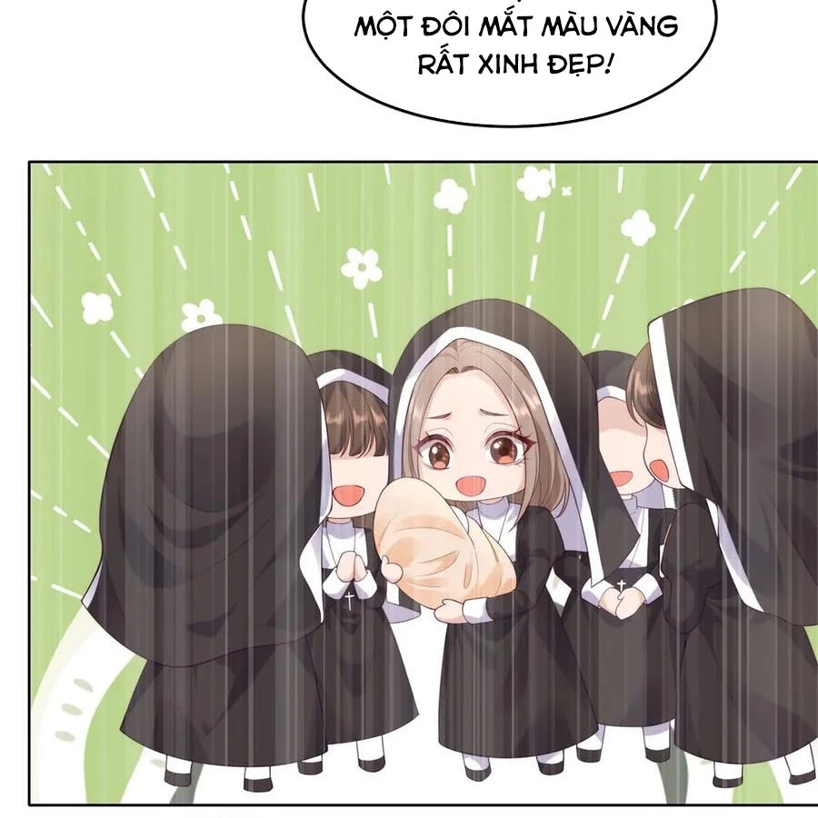 Cửa hàng sủng vật thần kỳ Chapter 15 - 33