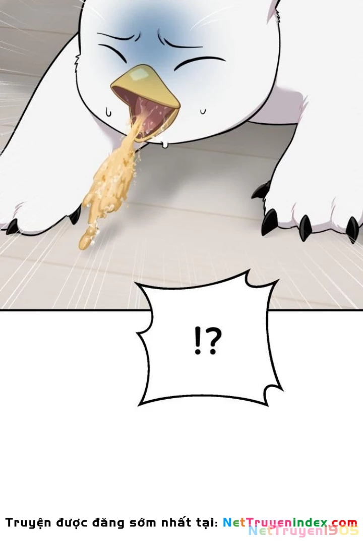 Chào Nhé, Griffin Mắt Tròn! Chapter 14 - 47