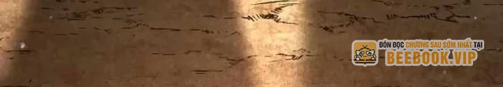 Sự Trở Lại Của Quyền Vương Chapter 20 - 316