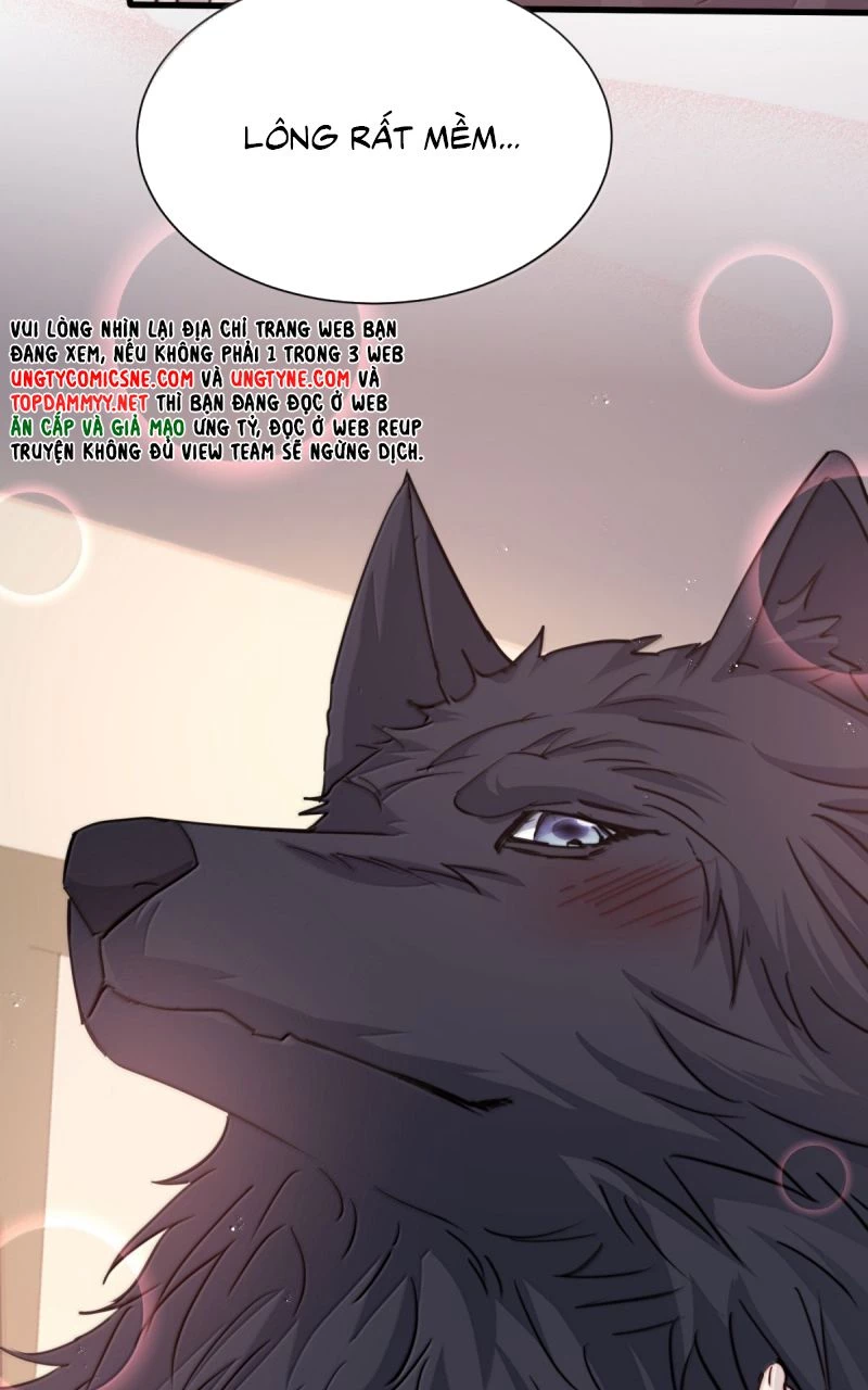 Lồng Tuyết Chapter 65 - 27