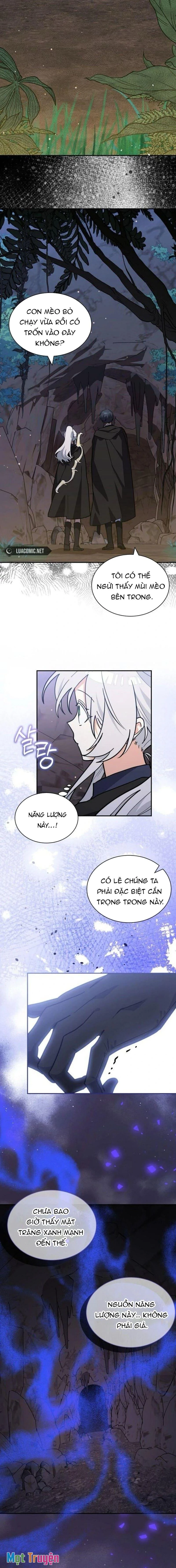 Mèo Con Được Gia Tộc Sói Nhận Nuôi? Chapter 70 - 5