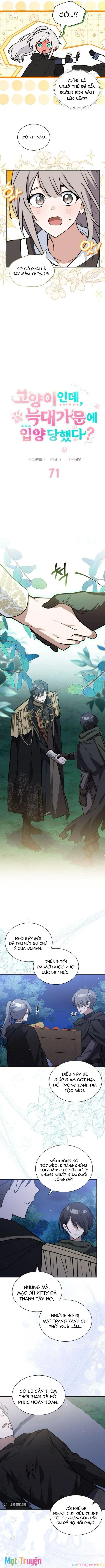Mèo Con Được Gia Tộc Sói Nhận Nuôi? Chapter 71 - 7