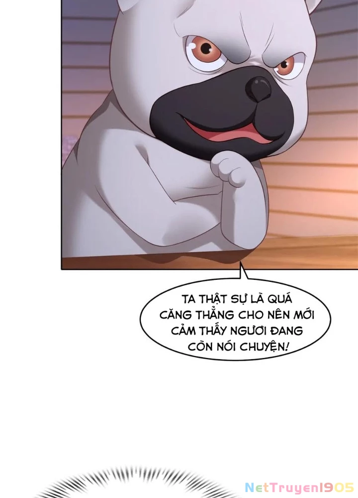 Cửa hàng sủng vật thần kỳ Chapter 17 - 3