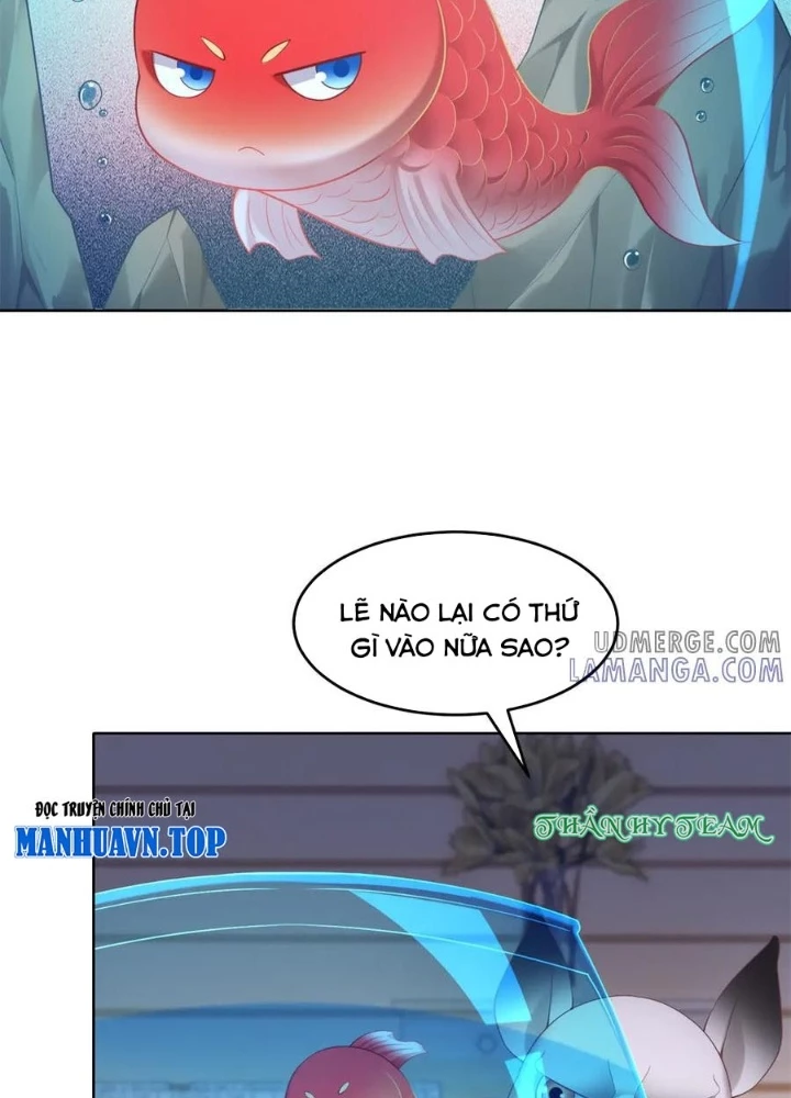 Cửa hàng sủng vật thần kỳ Chapter 17 - 5