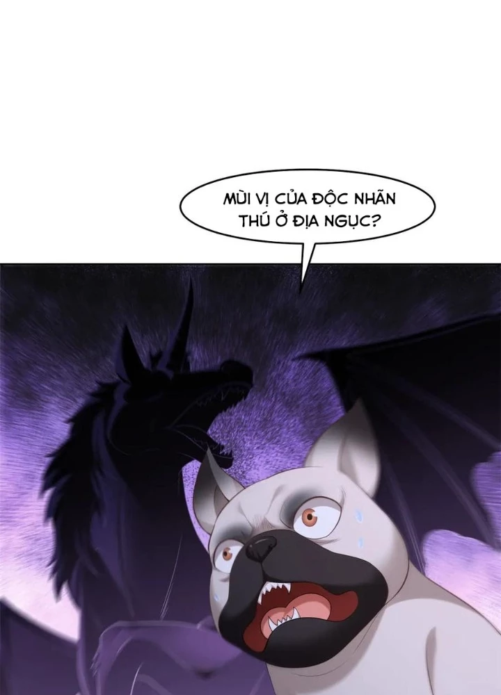 Cửa hàng sủng vật thần kỳ Chapter 17 - 13