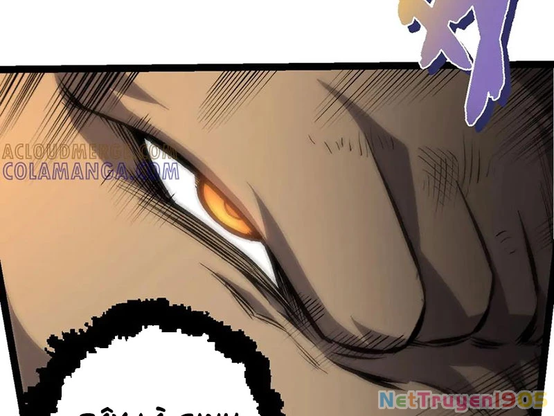 Chuyển Sinh Thành Liễu Đột Biến Chapter 431 - 18