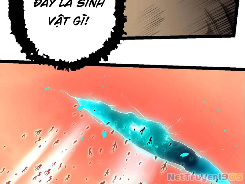 Chuyển Sinh Thành Liễu Đột Biến Chapter 431 - 19