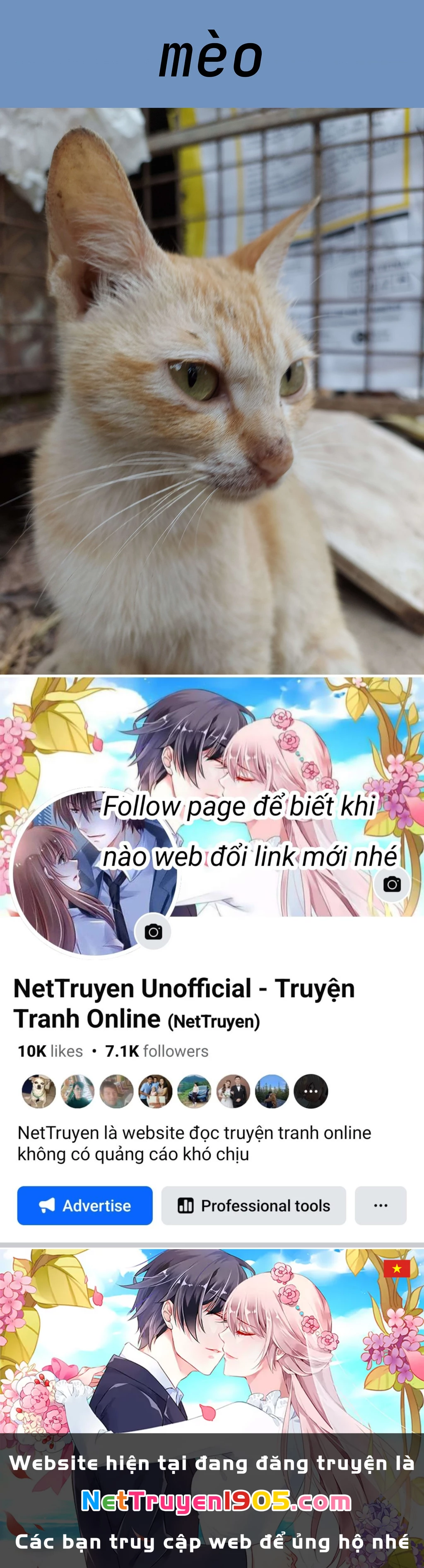 Thiên Sứ Nhà Bên Chapter 24.4 - 19