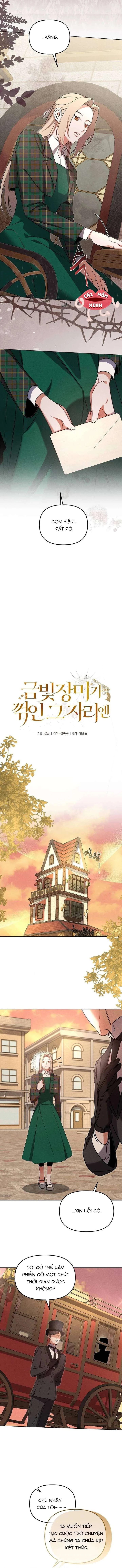 Nơi Đóa Hồng Vàng Úa Tàn Chapter 9 - 3