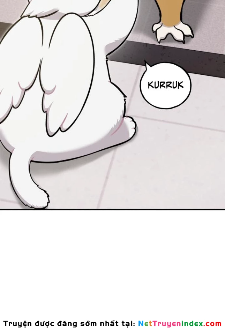 Chào Nhé, Griffin Mắt Tròn! Chapter 15 - 19