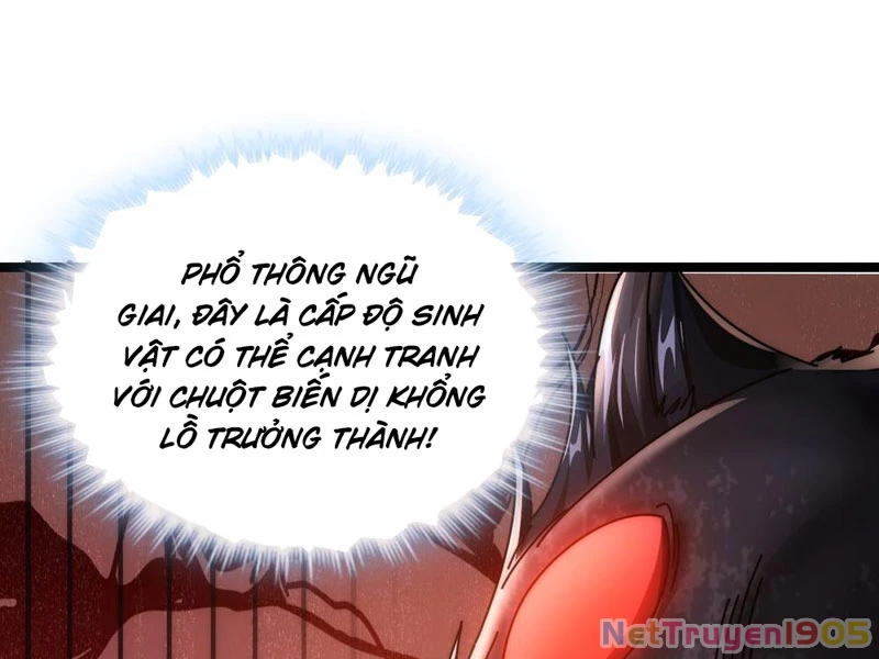 Tiến Hóa Vô Hạn Bắt Đầu Từ Con Số Không Chapter 11 - 184