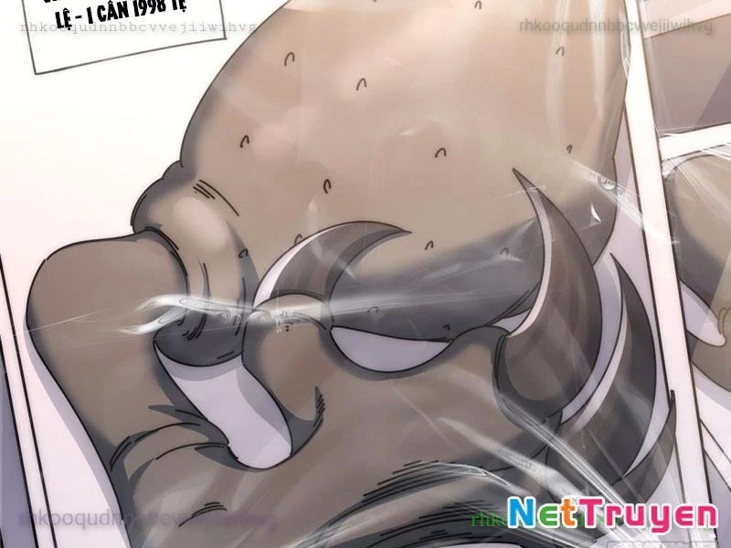 Tiến Hóa Vô Hạn Bắt Đầu Từ Con Số Không Chapter 11 - 226