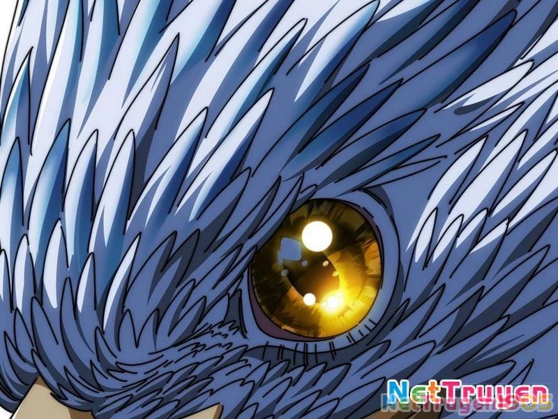 Tiến Hóa Vô Hạn Bắt Đầu Từ Con Số Không Chapter 12 - 6