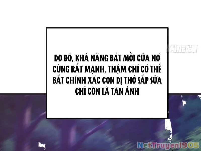 Tiến Hóa Vô Hạn Bắt Đầu Từ Con Số Không Chapter 12 - 9