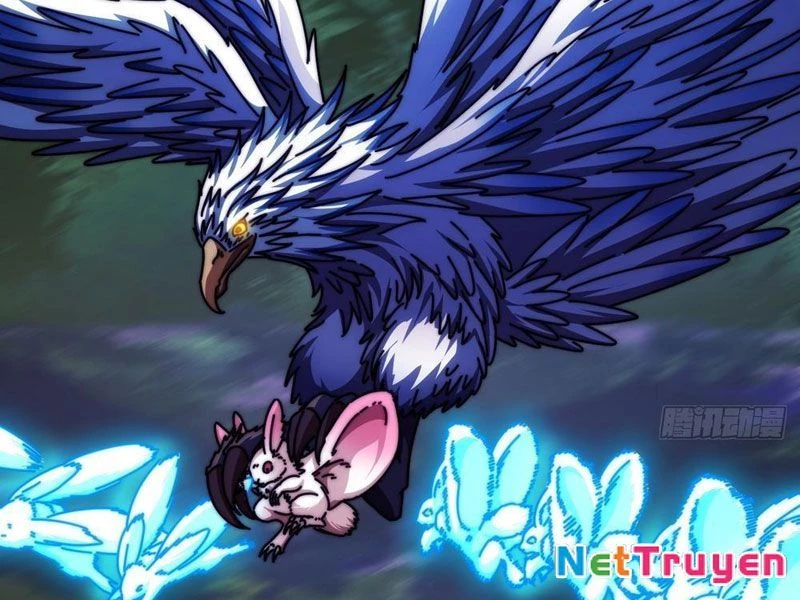 Tiến Hóa Vô Hạn Bắt Đầu Từ Con Số Không Chapter 12 - 11