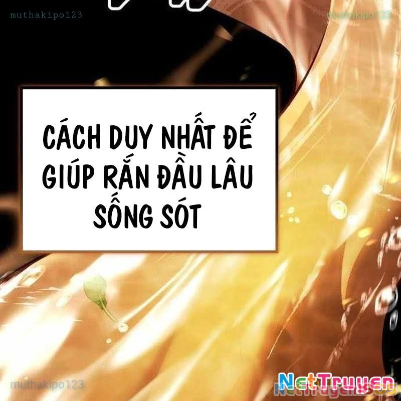 Kim Chiến Sĩ: Hành Trình Xây Dựng Đặc Tính Chapter 57 - 121