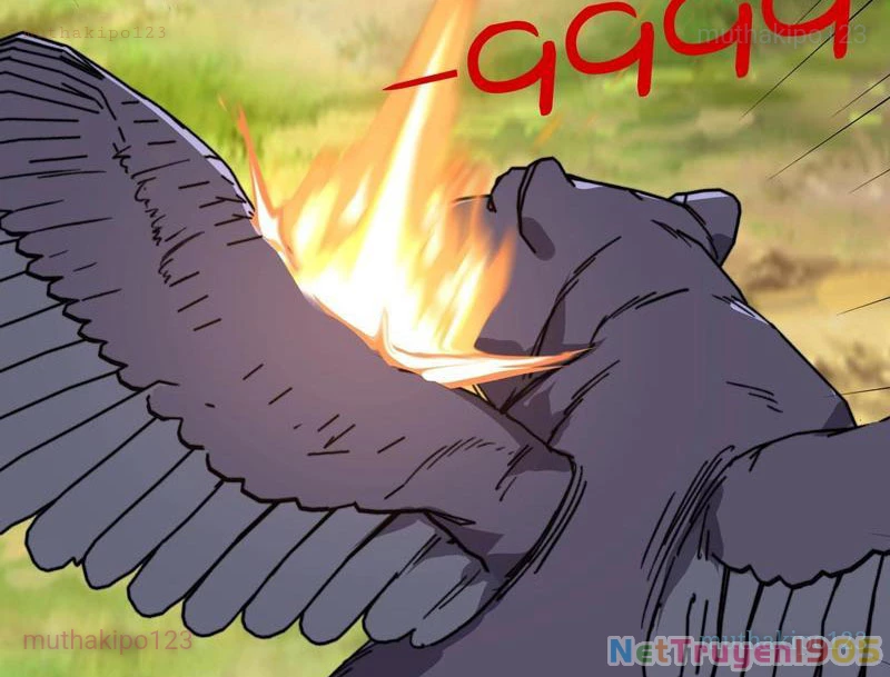 Bắt đầu chuyển chức tài thần, ta chuyển hóa triệu vạn thần sủng Chapter 44 - 100