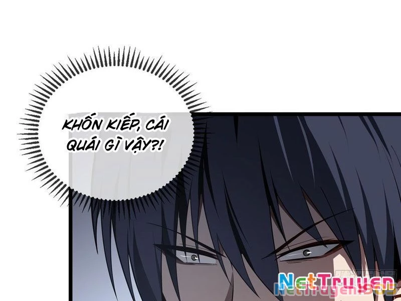Tai Ách Giáng Lâm: Ta Tiến Hóa Thành Tinh Hồng Chi Vương Chapter 11 - 51